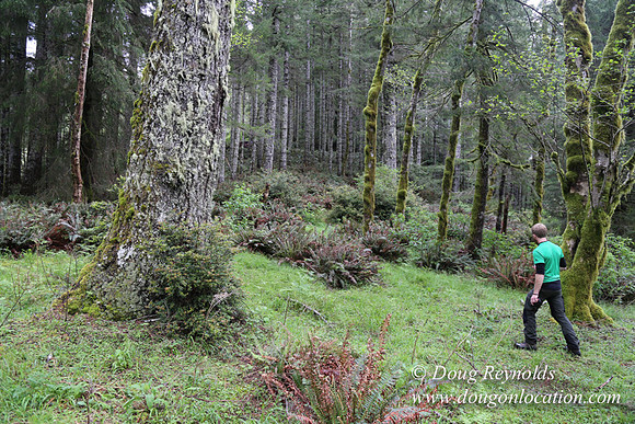 Ross on Fairview Mt Rd-1849