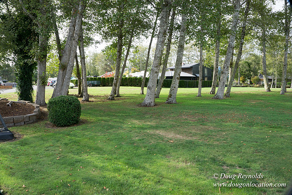 Brook's Lake House