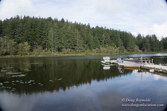 Brook's Lake House
