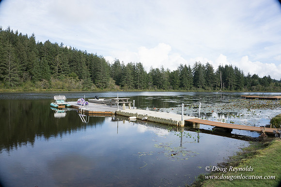 Brook's Lake House