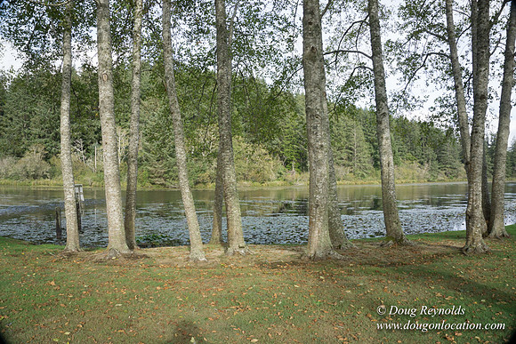 Brook's Lake House