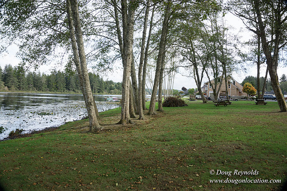 Brook's Lake House