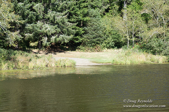 Cullaby Lake Park