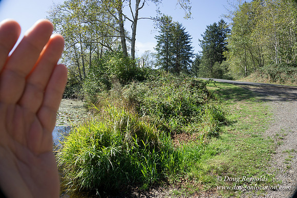 Cullaby Lake Park