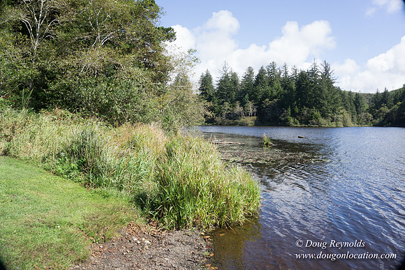 Cullaby Lake Park