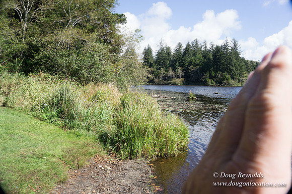 Cullaby Lake Park