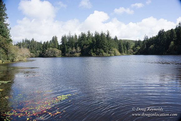 Cullaby Lake Park