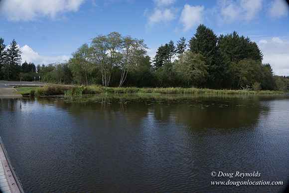 Cullaby Lake Park South
