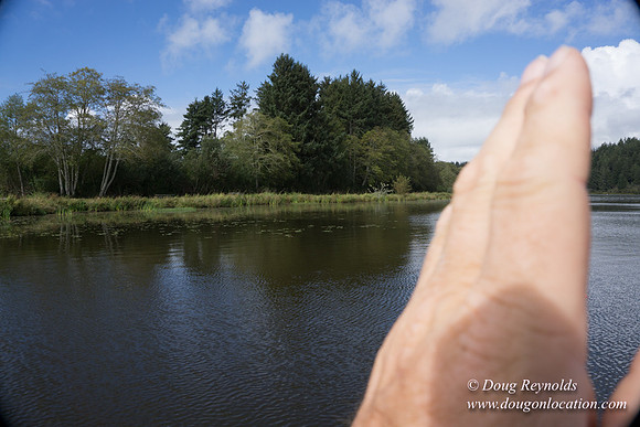 Cullaby Lake Park South