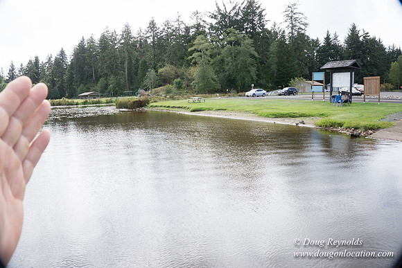Cullaby Lake Park South