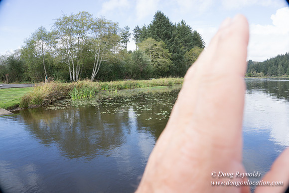 Cullaby Lake Park South