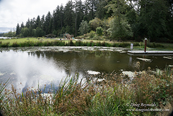 Cullaby Lake Park South