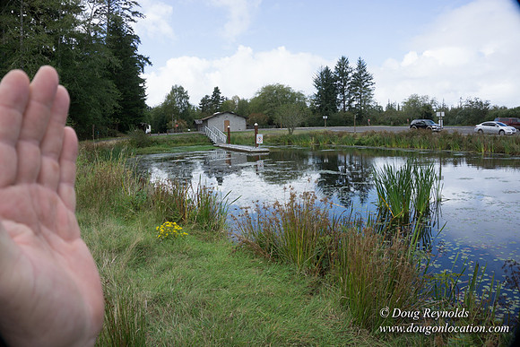 Cullaby Lake Park South