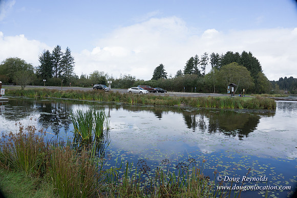 Cullaby Lake Park South