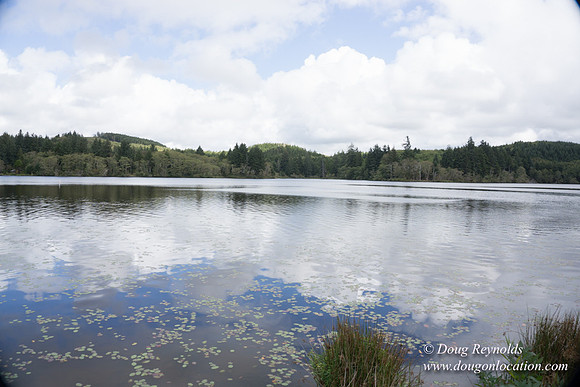 Cullaby Lake Park South