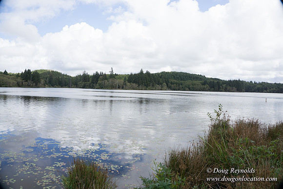 Cullaby Lake Park South