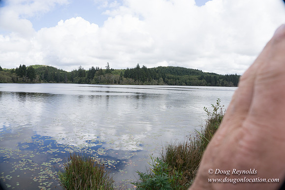 Cullaby Lake Park South
