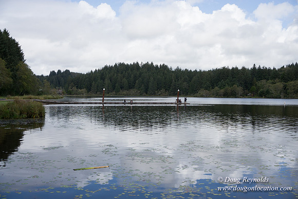 Cullaby Lake Park South