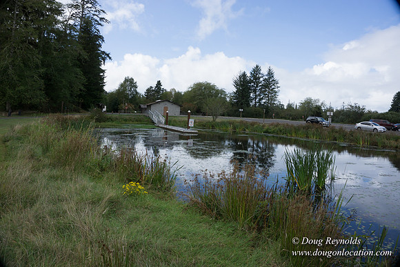 Cullaby Lake Park South