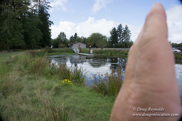 Cullaby Lake Park South