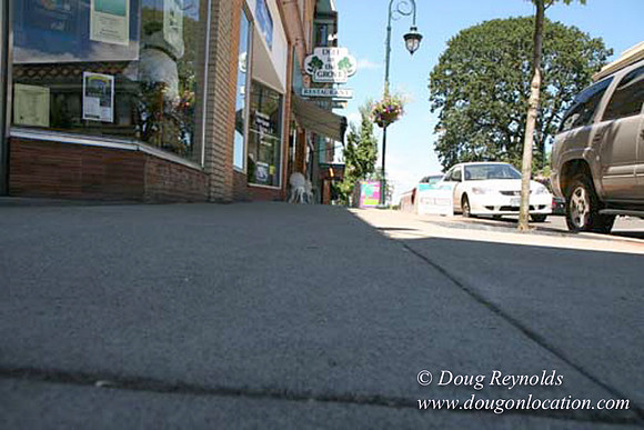 Forest Grove-5463