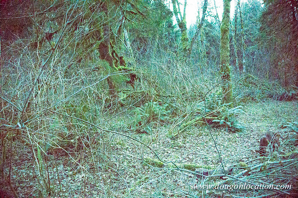 Adams Farm-3126