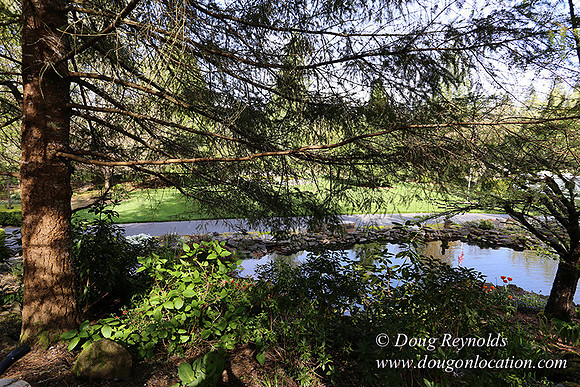 Brians Pond & Drive-9924