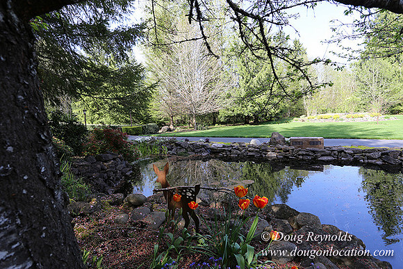 Brians Pond & Drive-9926