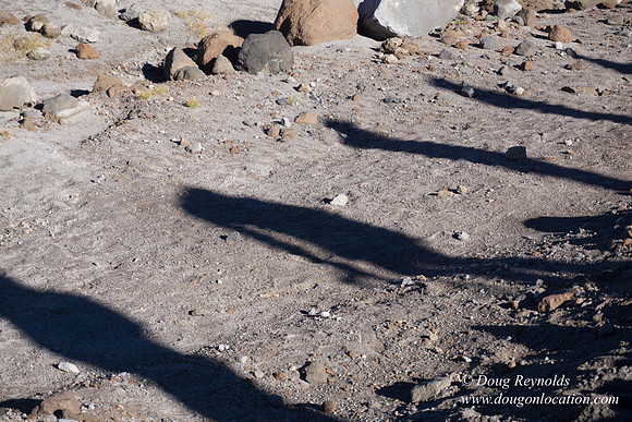 Garmin on Mt Hood
