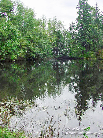 Bridal Veil Lakes