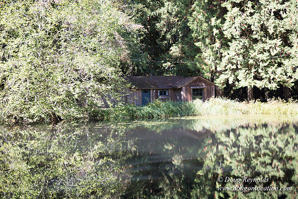 CCC Camp