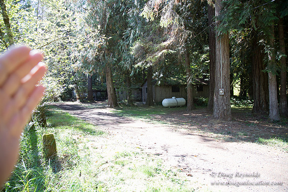 CCC Camp