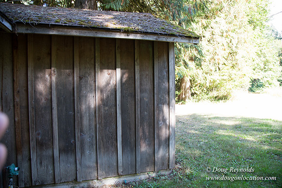 CCC Camp