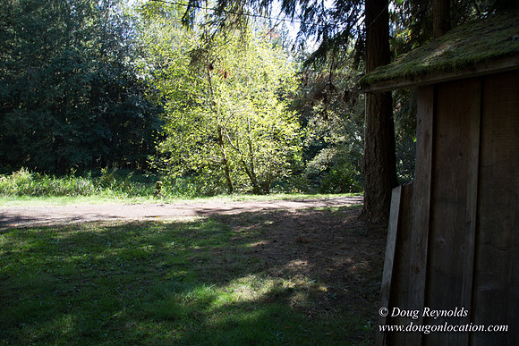 CCC Camp