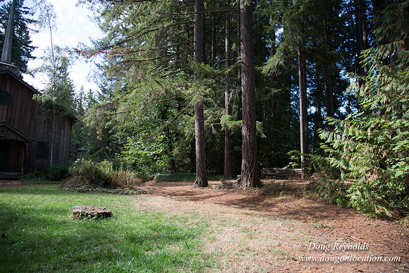 CCC Camp-4174