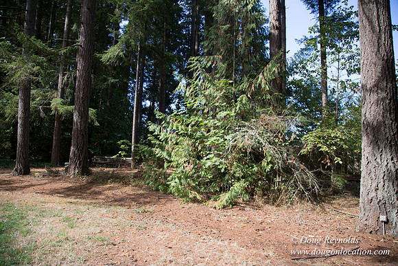 CCC Camp-4175