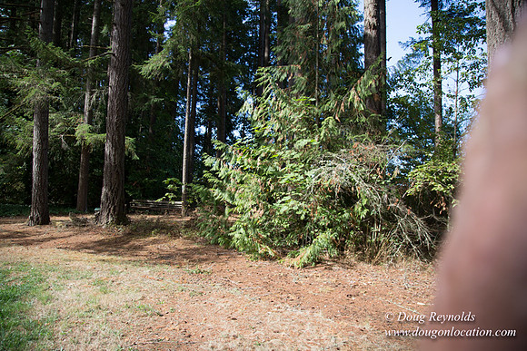 CCC Camp-4176