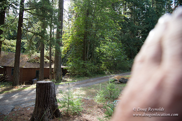 CCC Camp-4182