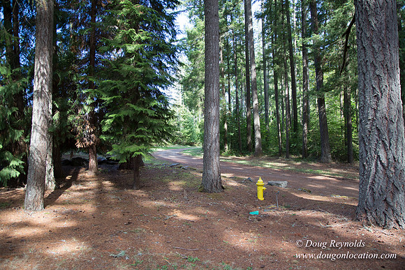 CCC Camp-4183