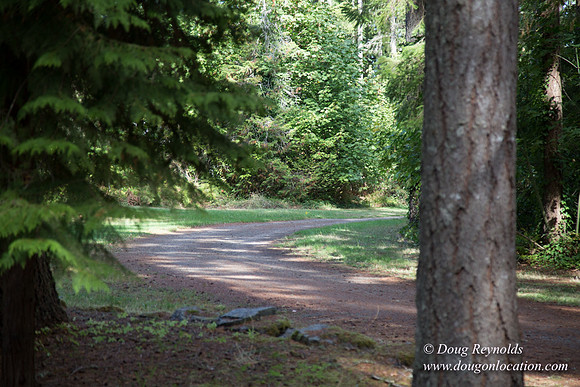 CCC Camp-4184