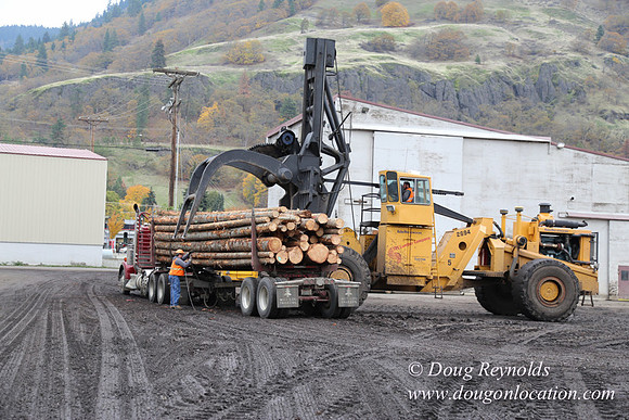 SDS Lumber-1464