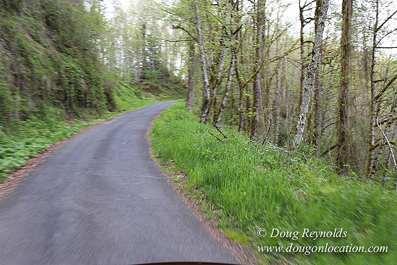 Brians Rd to the Gate-0293