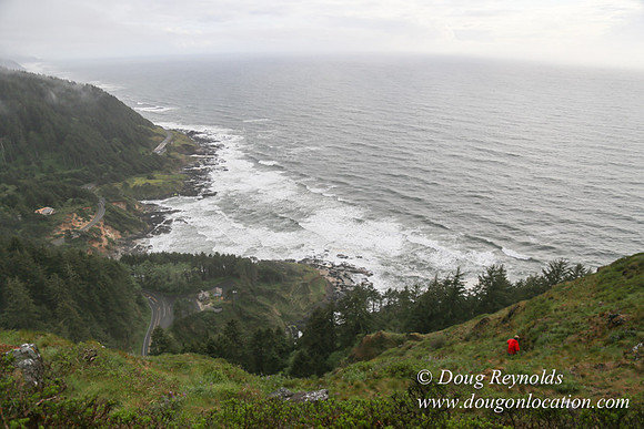 Ross Cape Perpetua-1769