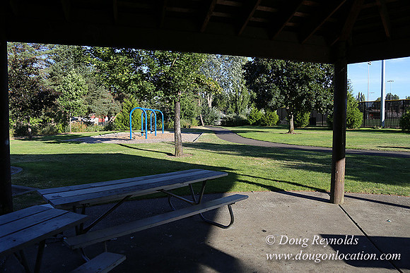 Lincoln Park-0647