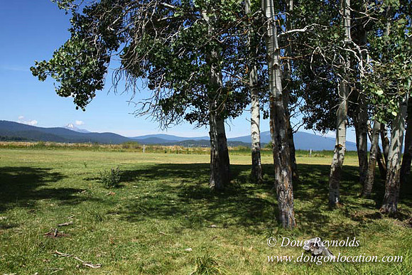 2500 Acres of green fields Creeks water crossing Bridges on a Large Lake and miles of Dirt roads Oak trees Forest land ATV Trails cows