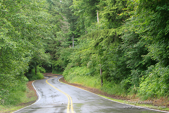 Brower Rd