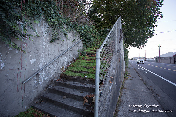 29-Stairs