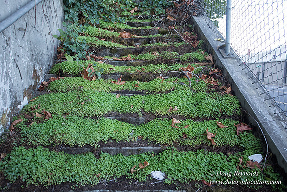 29-Stairs