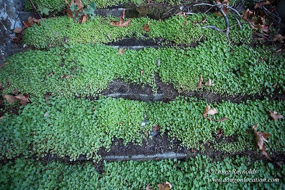 29-Stairs