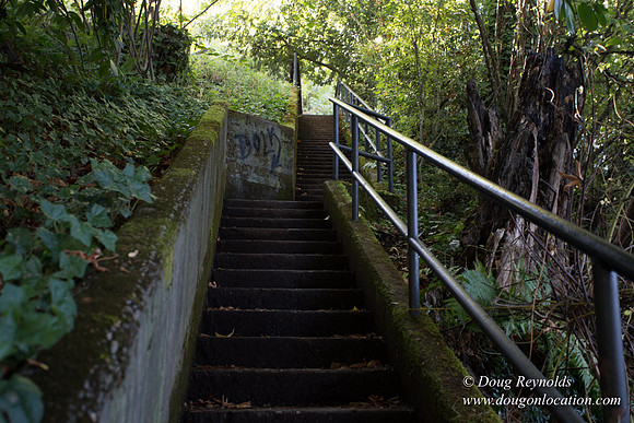 28-Stairs